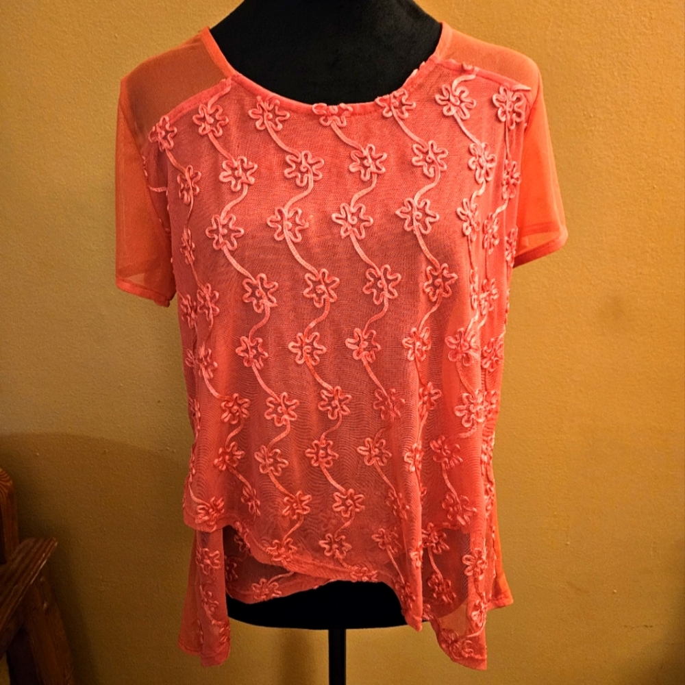 Floral Embroidered Sheer Pink Top